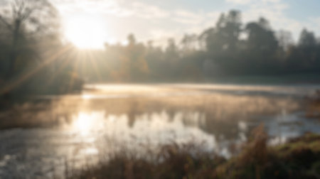 Blur background of sunrise over dewy grass with bokeh effect. Sun shining through tree in the...