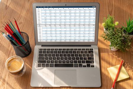Accounting software on computer screen showing financial statement spreadsheets and account balance...