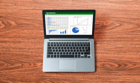 Spreadsheet document information financial startup concept. data and graphs in spreadsheet documents for online analysis project dashboard accounting digital snuglyの写真素材
