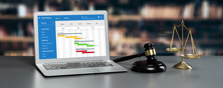 Project planning software for brisk business project management on the computer screen showing...