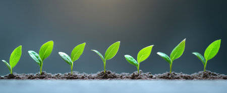 This image showcases a series of green seedlings emerging from dark soil, symbolizing growth and renewal in a serene environment.の素材