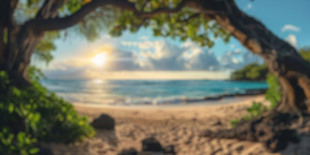 blur background of tropical beach in summerの素材