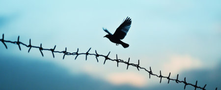 A stunning silhouette of a bird soaring gracefully against a soft blue sky. This image captures the essence of freedom and tranquility in nature.の素材