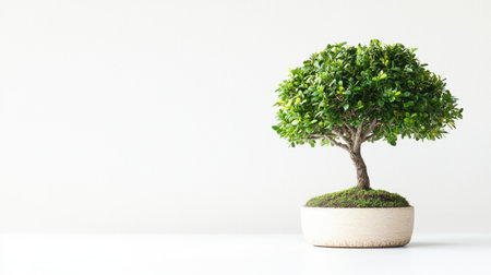 A vibrant bonsai tree showcases lush green leaves in a simple pot, symbolizing tranquility and growth. Perfect for home or office decor.の素材