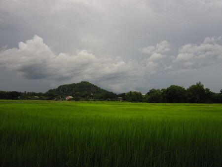 Chombueng in rainy season Thailandの写真素材