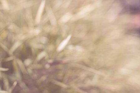 abstract background with bokeh defocused lights and shadowの写真素材