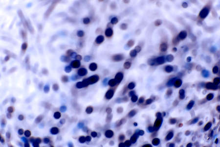 abstract backgroundの写真素材