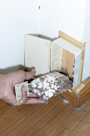 Insect Control Systems. Termites or white ants in Thailand.の写真素材