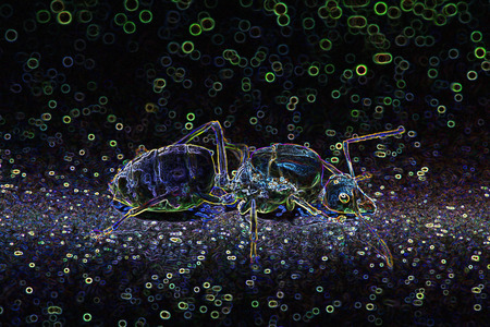 digital artの写真素材