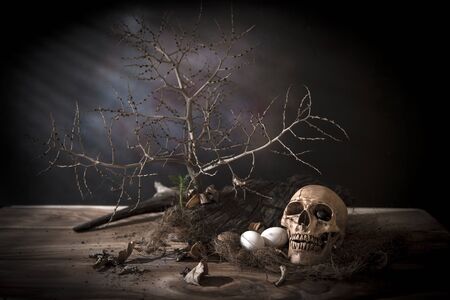 Still life with skull and death.の写真素材