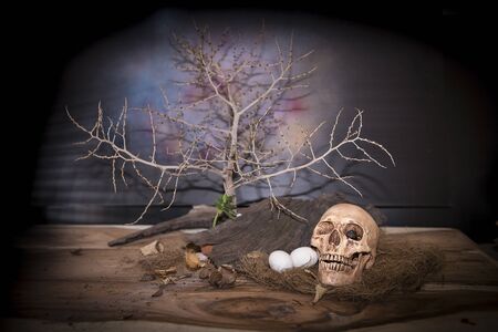 Still life with skull and death.の写真素材
