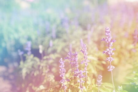 Digital effects colorful abstract for background.の写真素材