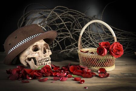 Still life photo with skull and rose to the concept of eternal love.の写真素材