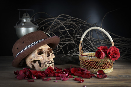 Still life photo with skull and rose to the concept of eternal love.の写真素材