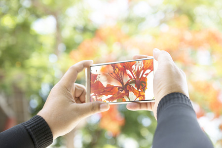 The camera on the phone, Technology makes taking pictures easier with a camera phone.の写真素材