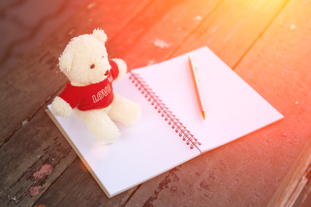 Teddy bears and notebook parks evening.の写真素材