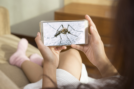 Woman watching the images of mosquitoes through mobile, education prevention methods of malaria.の写真素材