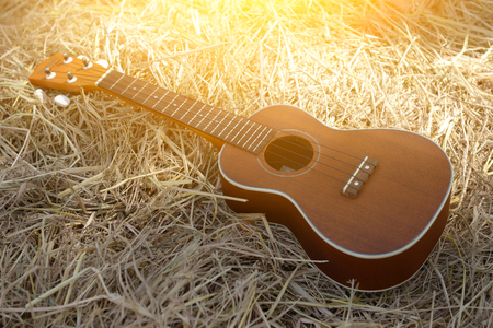 Ukulele on a pile of hay with a light vintage.の写真素材