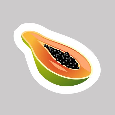 Vector Papaya with White Contour Isolated on Grey Background.のイラスト素材