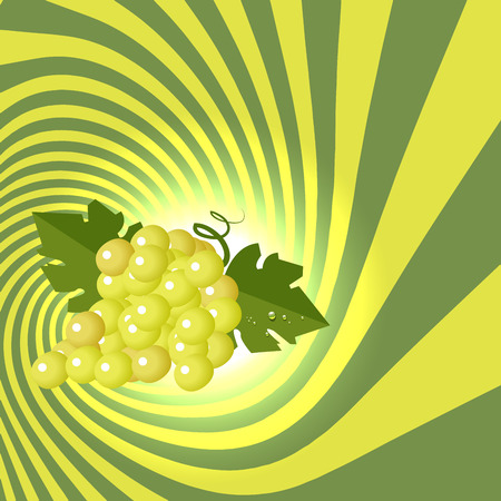 Striped spiral grape patisserie background. Grape fruit color. Grape berries striped spiral tunnel. Fruit spiral for cover design of food or beverage with wine taste. Vector Illustration.のイラスト素材