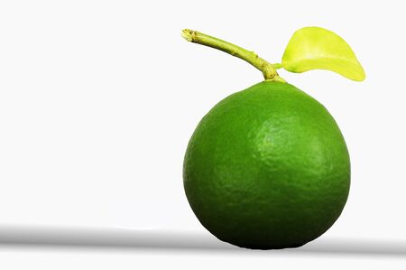 Lemon isolated  green and fresh is sour to veryの写真素材