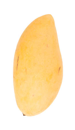 Mango on the white backgroundの写真素材
