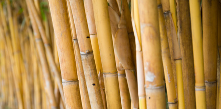 Asians like bamboo basketworksの写真素材