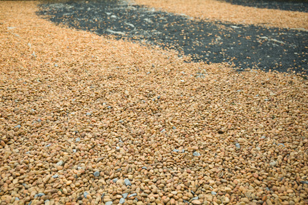 Small orange pebbles walkway in the parkの写真素材