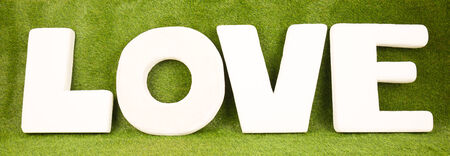 Love the background on the grassの写真素材