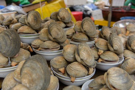 Fresh mussels sold on Busan fish market