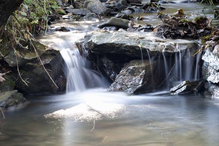 Stream in the forest  