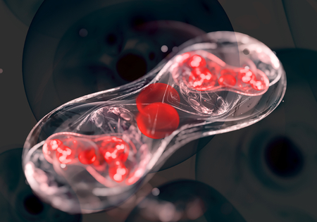 Cells, bacteria or virusの写真素材