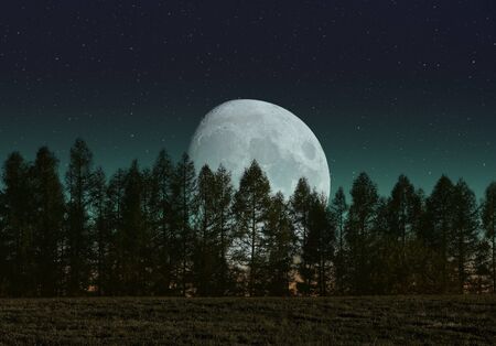 Moon rises behind trees in a forestの写真素材