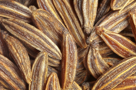 Caraway seeds or cumin seeds. Macro focus stackingの写真素材