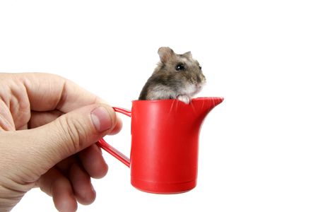 human hand hold red plastic cup with grey haster
