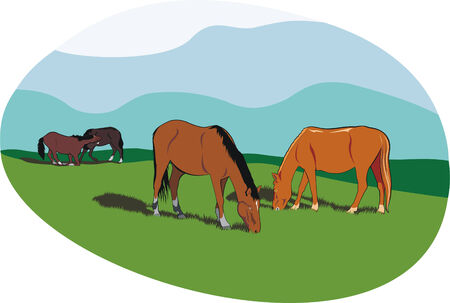 the art illustration of some horses at natureのイラスト素材