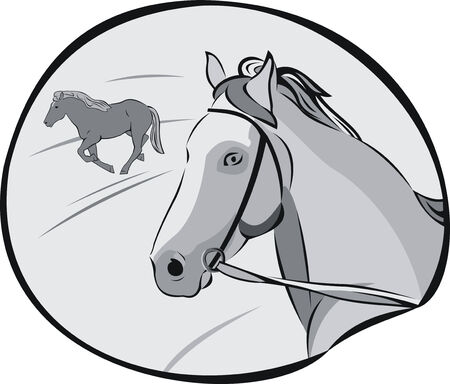 horsesのイラスト素材