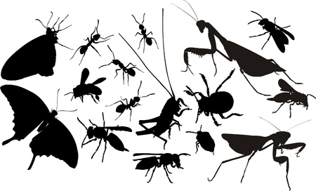 insects silhouettesのイラスト素材