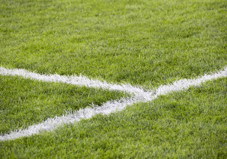 close-up grass at soccer field with corner lineの写真素材