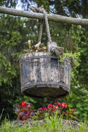 close-up wooden bucket with white flowersの写真素材