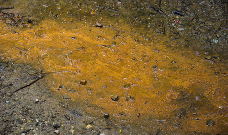 rusty sludge on the stones near the mineral spring