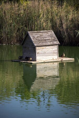 wooden duck house floating at the pondの写真素材