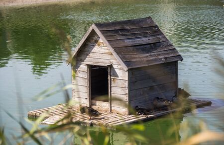 wooden duck house floating at the pondの写真素材