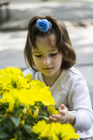 portrait of little girl with blossoming flowers of common evening-primroseの写真素材