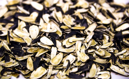 close-up a many shells of sunflower seedの写真素材