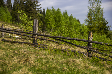 close-up old wooden fence on the edge of the village near the forestの写真素材