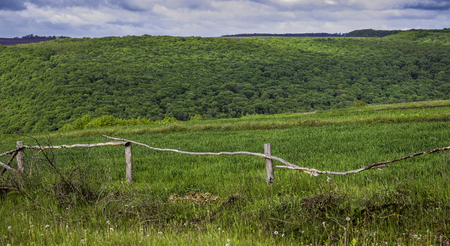 close-up old wooden fence on the edge of the village near the forestの写真素材