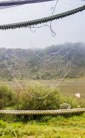 close-up of the spiderweb with drops at the fence