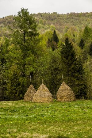 close-up a three haystacks in ukrainian carpathian village near the forestの写真素材