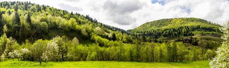 the panoramic view of landscape of the carpathian mountains in the village Korchyn, national park...